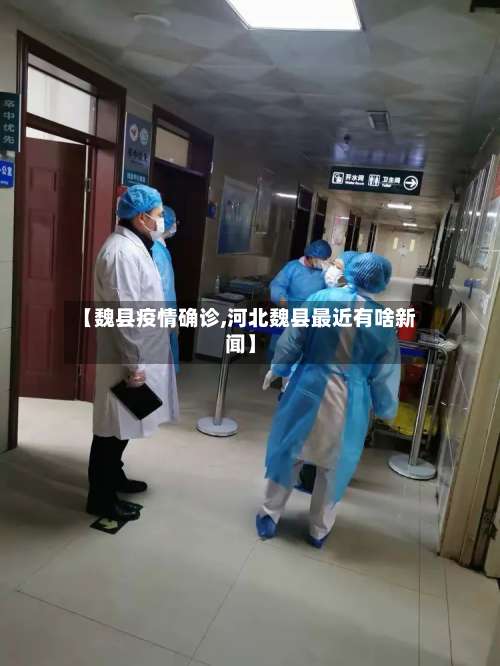 【魏县疫情确诊,河北魏县最近有啥新闻】-第3张图片