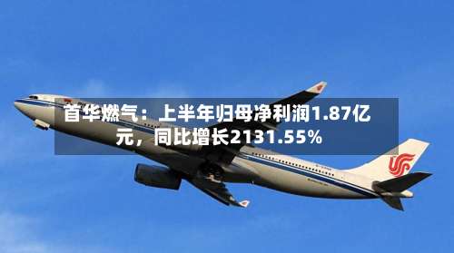 首华燃气：上半年归母净利润1.87亿元	，同比增长2131.55%-第2张图片