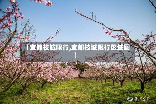 【宜都枝城限行,宜都枝城限行区域图】-第2张图片