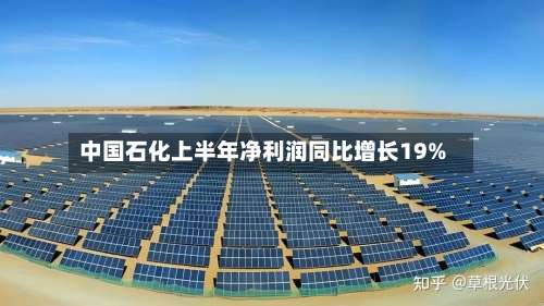中国石化上半年净利润同比增长19%