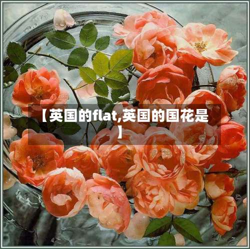 【英国的flat,英国的国花是】