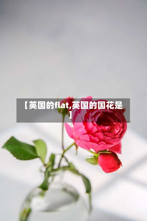 【英国的flat,英国的国花是】-第2张图片