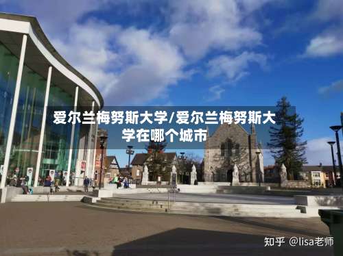 爱尔兰梅努斯大学/爱尔兰梅努斯大学在哪个城市-第2张图片