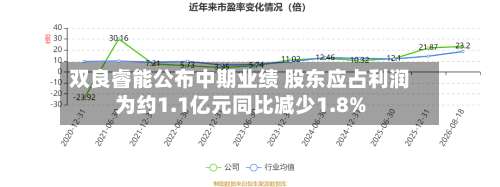 双良睿能公布中期业绩 股东应占利润为约1.1亿元同比减少1.8%-第3张图片