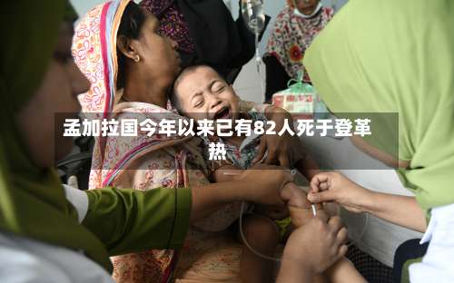 孟加拉国今年以来已有82人死于登革热