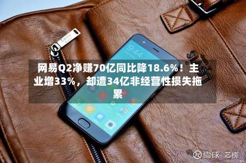 网易Q2净赚70亿同比降18.6%！主业增33%，却遭34亿非经营性损失拖累-第2张图片