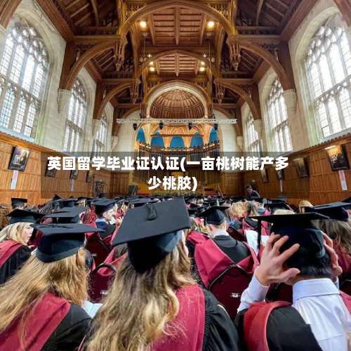 英国留学毕业证认证(一亩桃树能产多少桃胶)