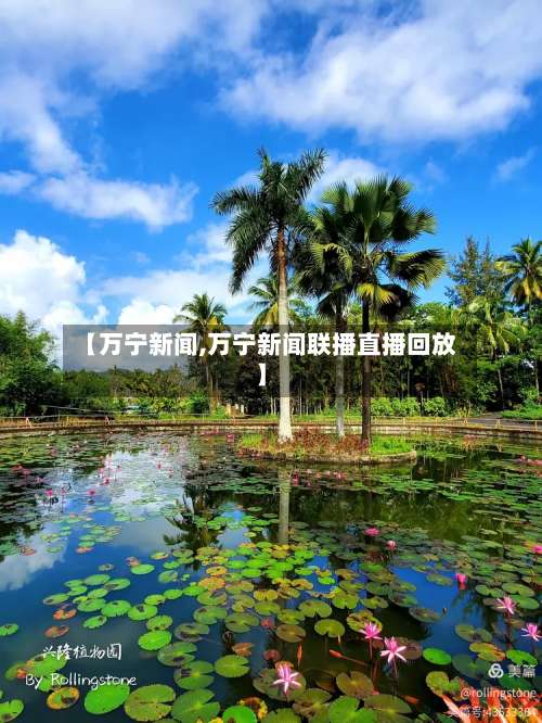 【万宁新闻,万宁新闻联播直播回放】