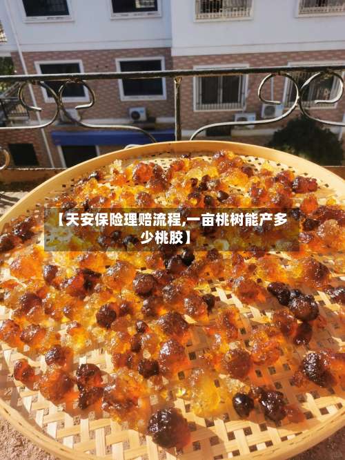 【天安保险理赔流程,一亩桃树能产多少桃胶】-第2张图片