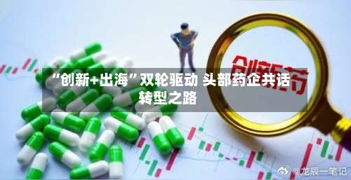 “创新+出海”双轮驱动 头部药企共话转型之路-第2张图片