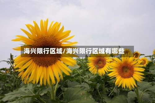 海兴限行区域/海兴限行区域有哪些