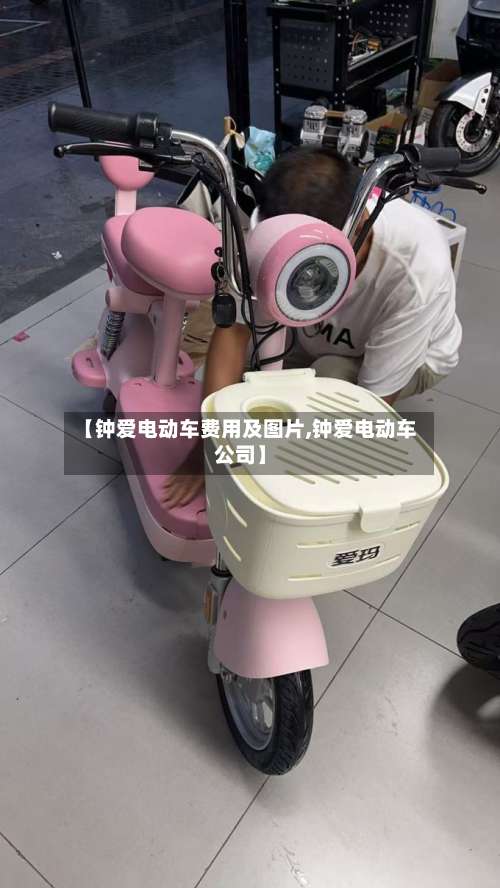 【钟爱电动车费用及图片,钟爱电动车公司】-第2张图片