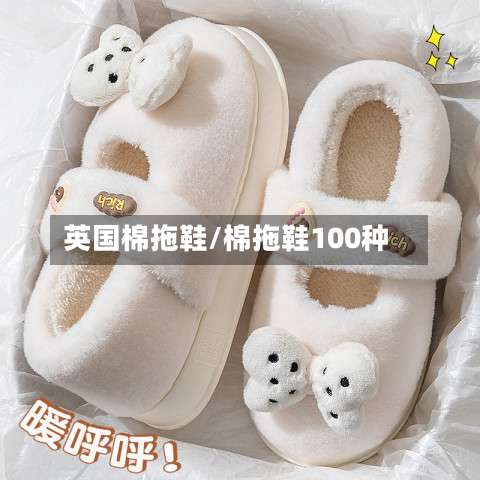 英国棉拖鞋/棉拖鞋100种