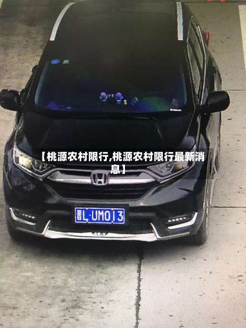 【桃源农村限行,桃源农村限行最新消息】