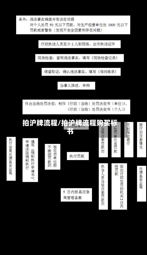 拍沪牌流程/拍沪牌流程购买标书