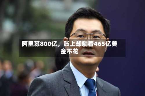 阿里募800亿，账上却躺着465亿美金不花-第3张图片
