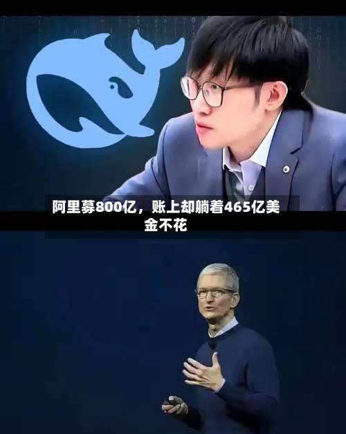 阿里募800亿，账上却躺着465亿美金不花-第2张图片