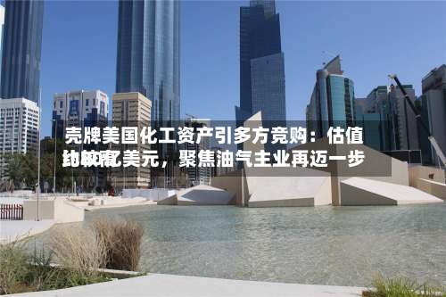 壳牌美国化工资产引多方竞购：估值比较高约80亿美元，聚焦油气主业再迈一步