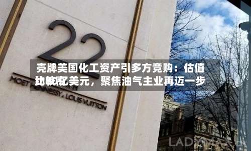 壳牌美国化工资产引多方竞购：估值比较高约80亿美元，聚焦油气主业再迈一步-第3张图片