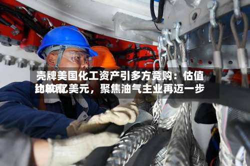 壳牌美国化工资产引多方竞购：估值比较高约80亿美元	，聚焦油气主业再迈一步-第2张图片