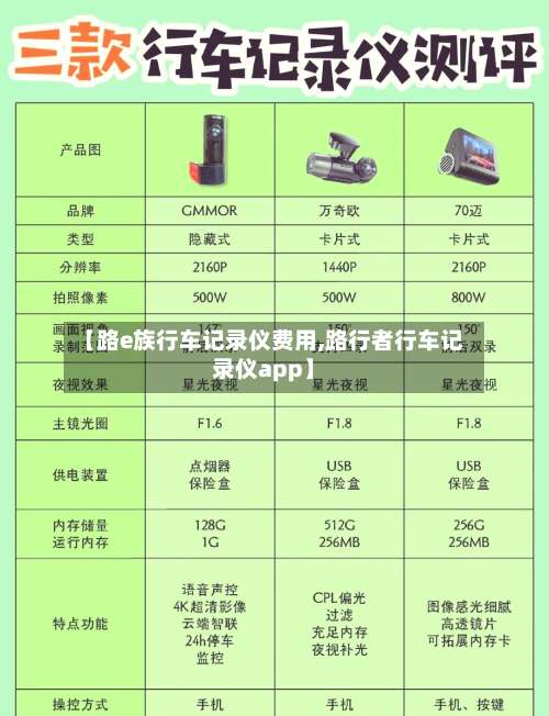 【路e族行车记录仪费用,路行者行车记录仪app】-第2张图片