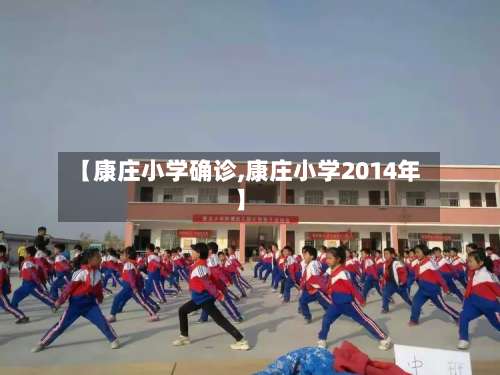 【康庄小学确诊,康庄小学2014年】
