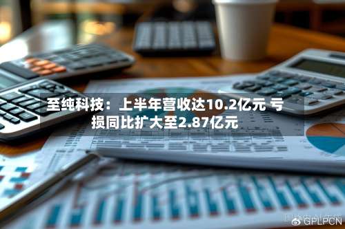 至纯科技：上半年营收达10.2亿元 亏损同比扩大至2.87亿元-第1张图片
