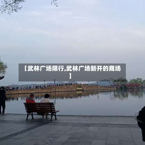 【武林广场限行,武林广场新开的商场】-第2张图片