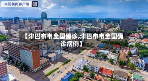 【津巴布韦全国确诊,津巴布韦全国确诊病例】