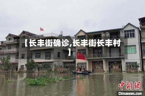 【长丰街确诊,长丰街长丰村】-第3张图片