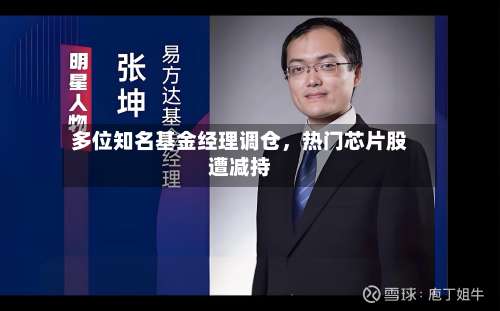 多位知名基金经理调仓，热门芯片股遭减持-第3张图片