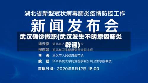武汉确诊撤职(武汉发生不明原因肺炎辟谣)-第3张图片