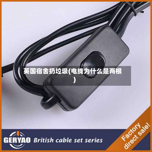 英国宿舍扔垃圾(电线为什么是两根)