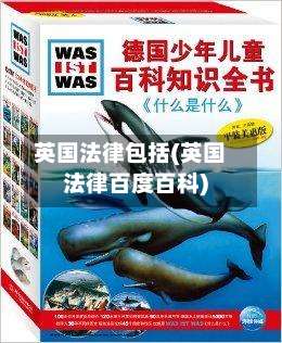 英国法律包括(英国法律百度百科)-第3张图片