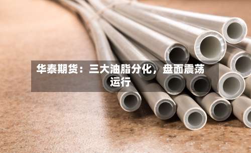 华泰期货：三大油脂分化	，盘面震荡运行-第1张图片