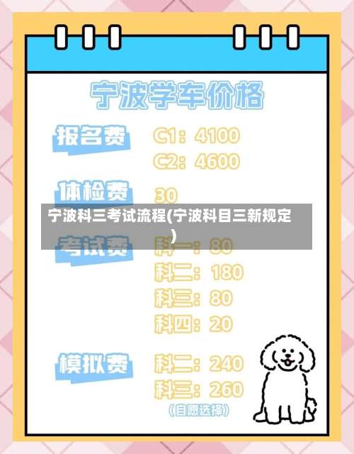 宁波科三考试流程(宁波科目三新规定)