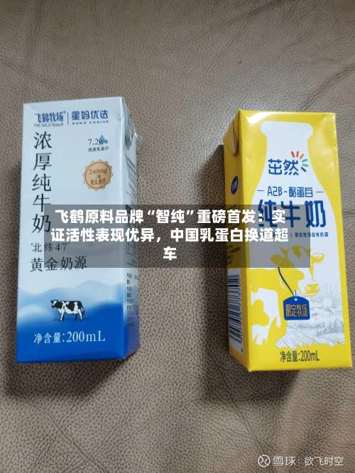 飞鹤原料品牌“智纯”重磅首发：实证活性表现优异，中国乳蛋白换道超车