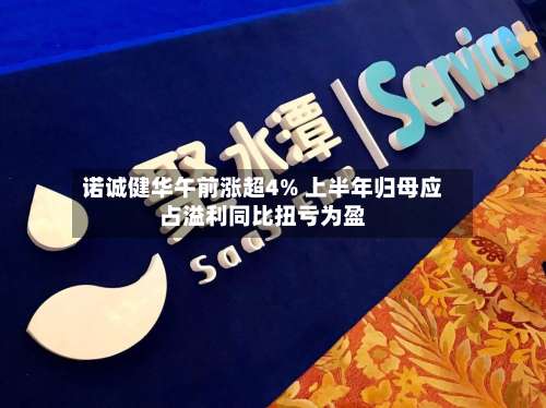 诺诚健华午前涨超4% 上半年归母应占溢利同比扭亏为盈-第3张图片