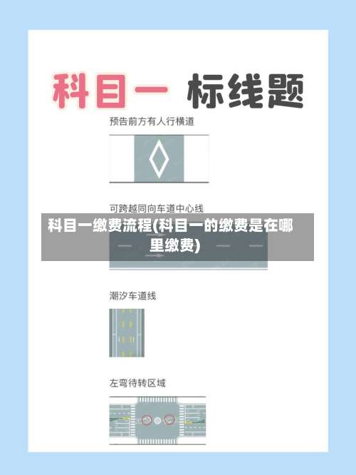 科目一缴费流程(科目一的缴费是在哪里缴费)-第2张图片