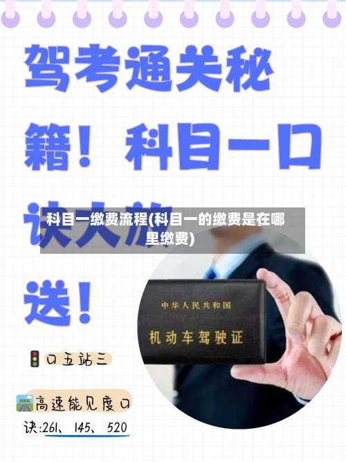 科目一缴费流程(科目一的缴费是在哪里缴费)