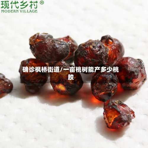 确诊枫桥街道/一亩桃树能产多少桃胶-第2张图片