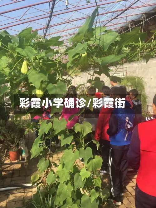 彩霞小学确诊/彩霞街
