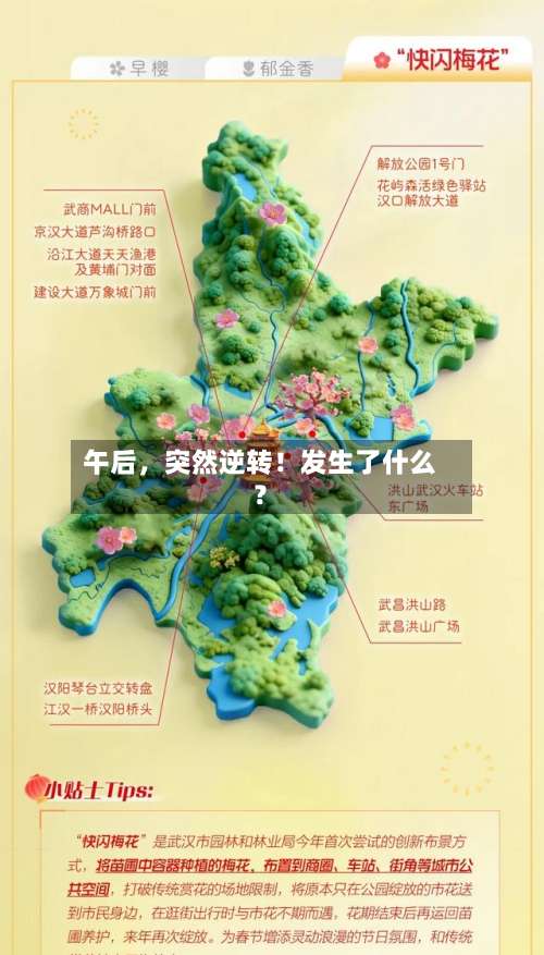 午后，突然逆转！发生了什么？-第2张图片