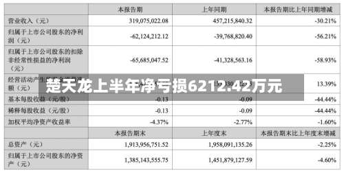 楚天龙上半年净亏损6212.42万元