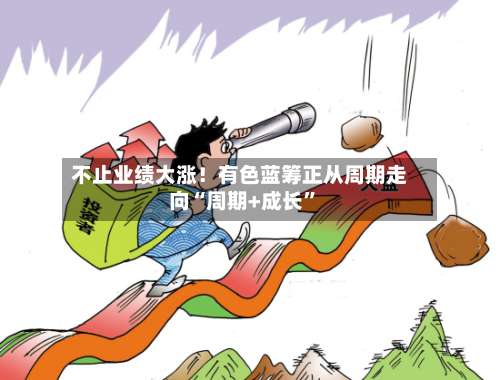 不止业绩大涨！有色蓝筹正从周期走向“周期+成长”-第2张图片