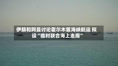 伊朗和阿曼讨论霍尔木兹海峡航运 拟设“临时联合海上走廊”-第2张图片