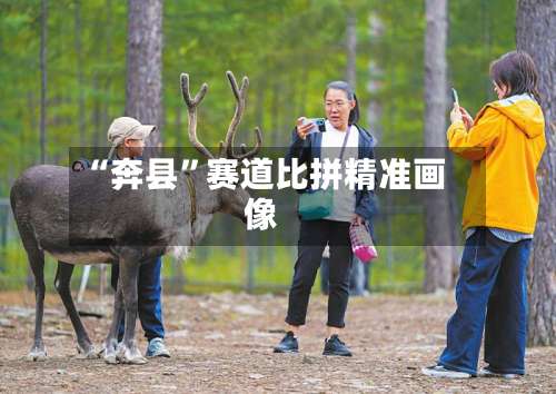“奔县	”赛道比拼精准画像-第2张图片
