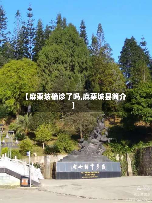 【麻栗坡确诊了吗,麻栗坡县简介】