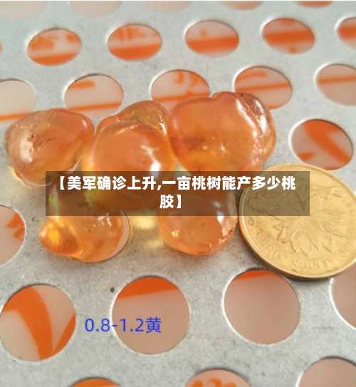 【美军确诊上升,一亩桃树能产多少桃胶】-第2张图片