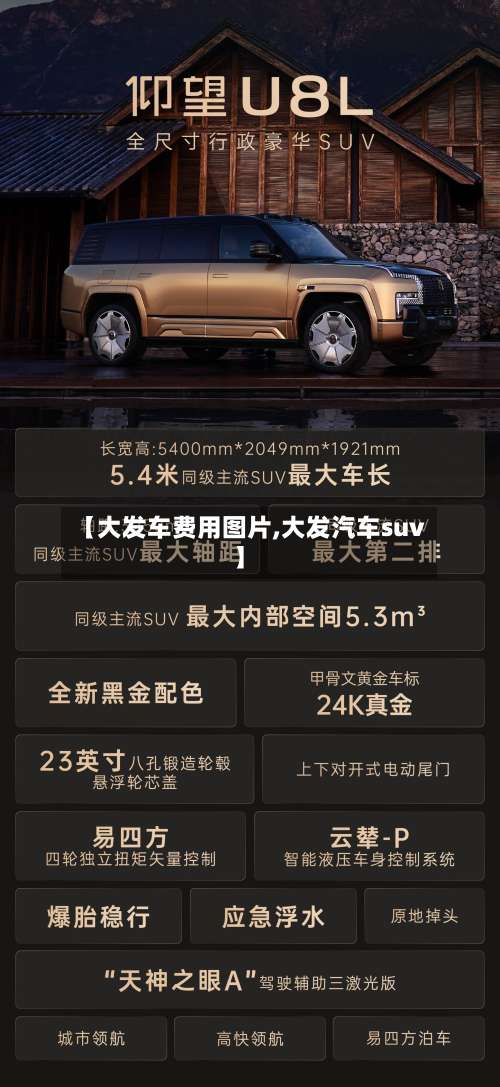 【大发车费用图片,大发汽车suv】-第2张图片